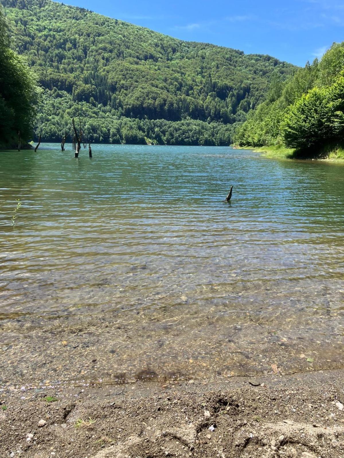 Vilabelvedere Scorilo Poiana Mărului Exterior foto